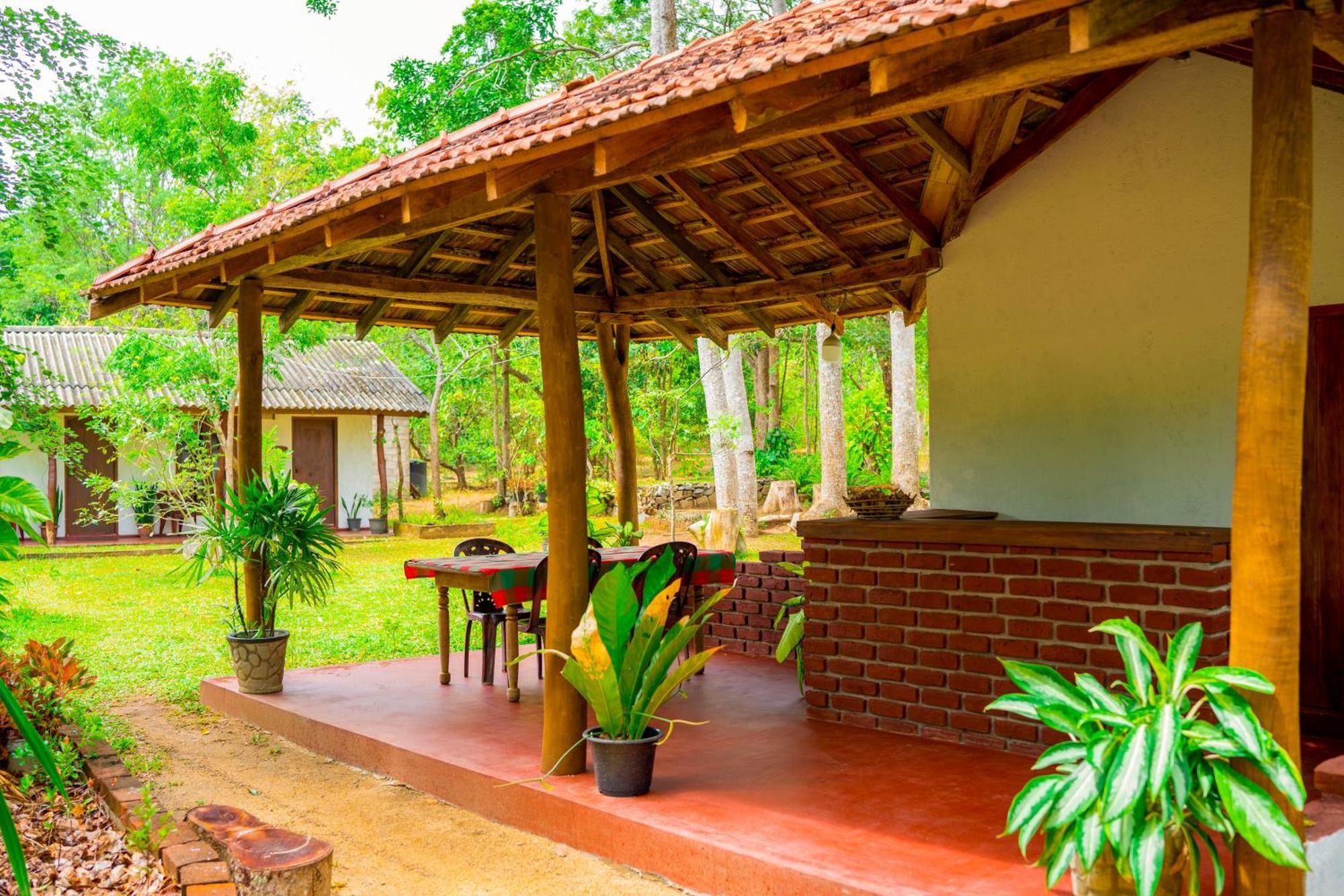 Wild Hut Habarana Bed & Breakfast Ngoại thất bức ảnh