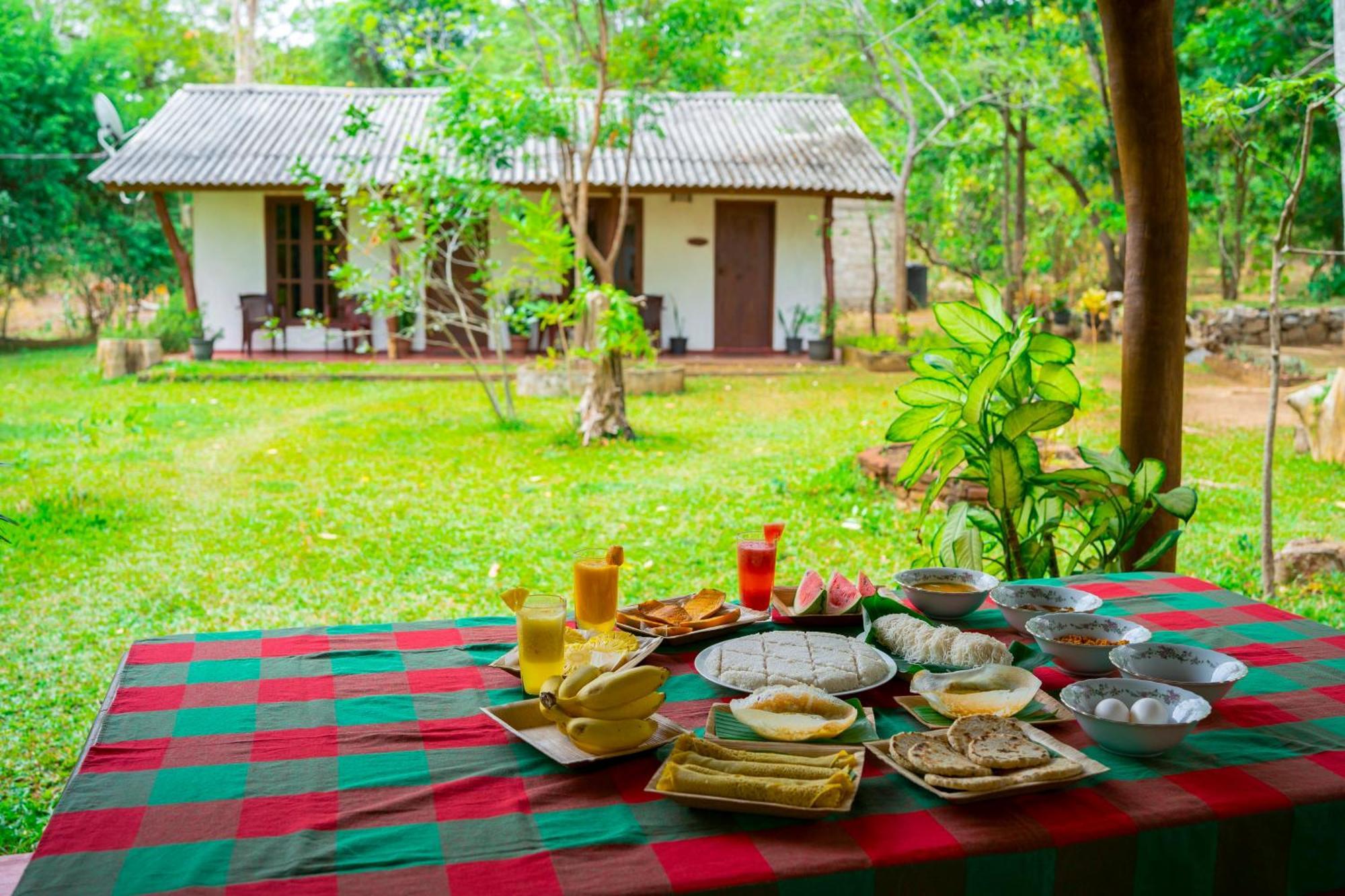 Wild Hut Habarana Bed & Breakfast Ngoại thất bức ảnh