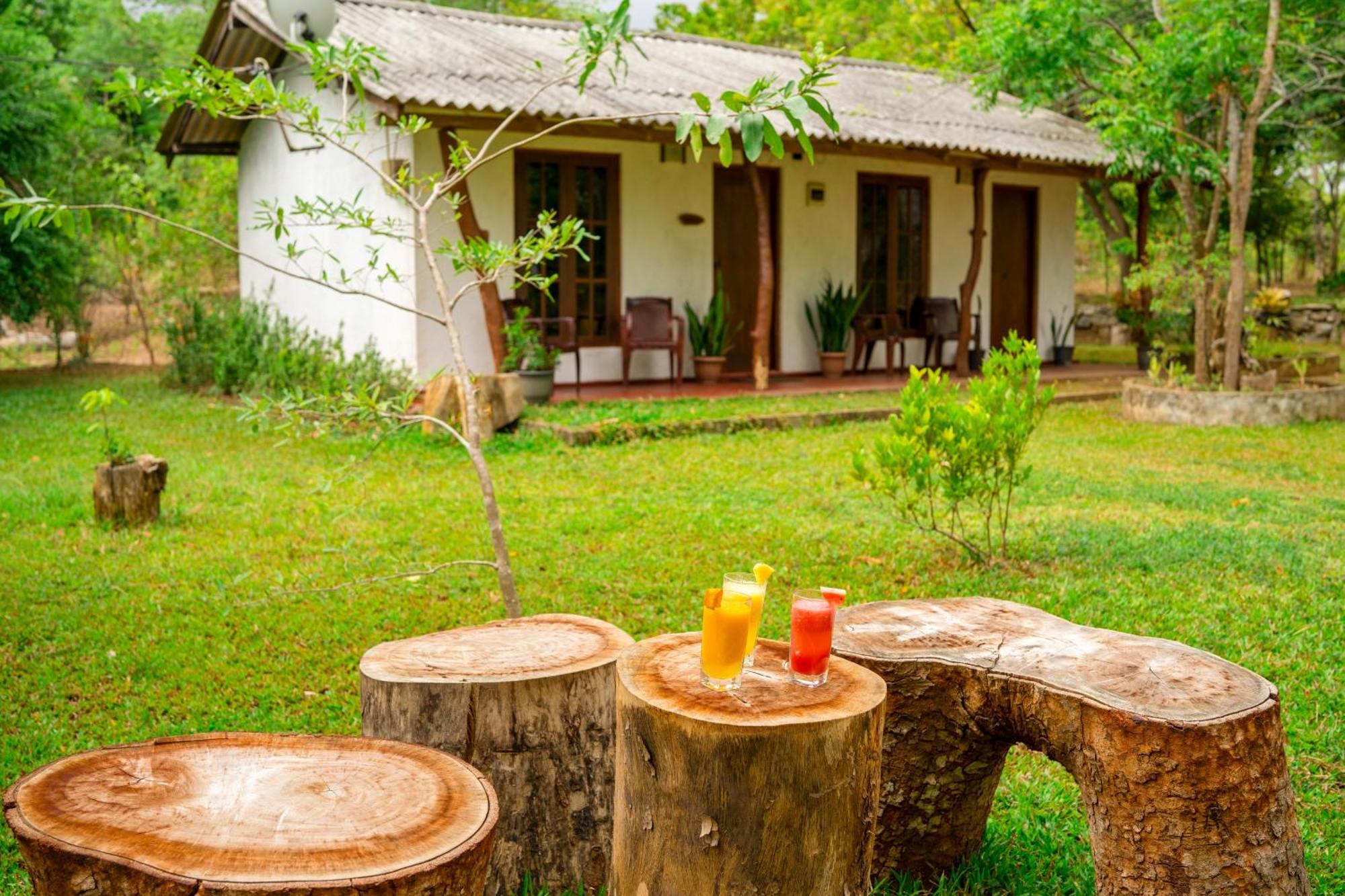 Wild Hut Habarana Bed & Breakfast Ngoại thất bức ảnh
