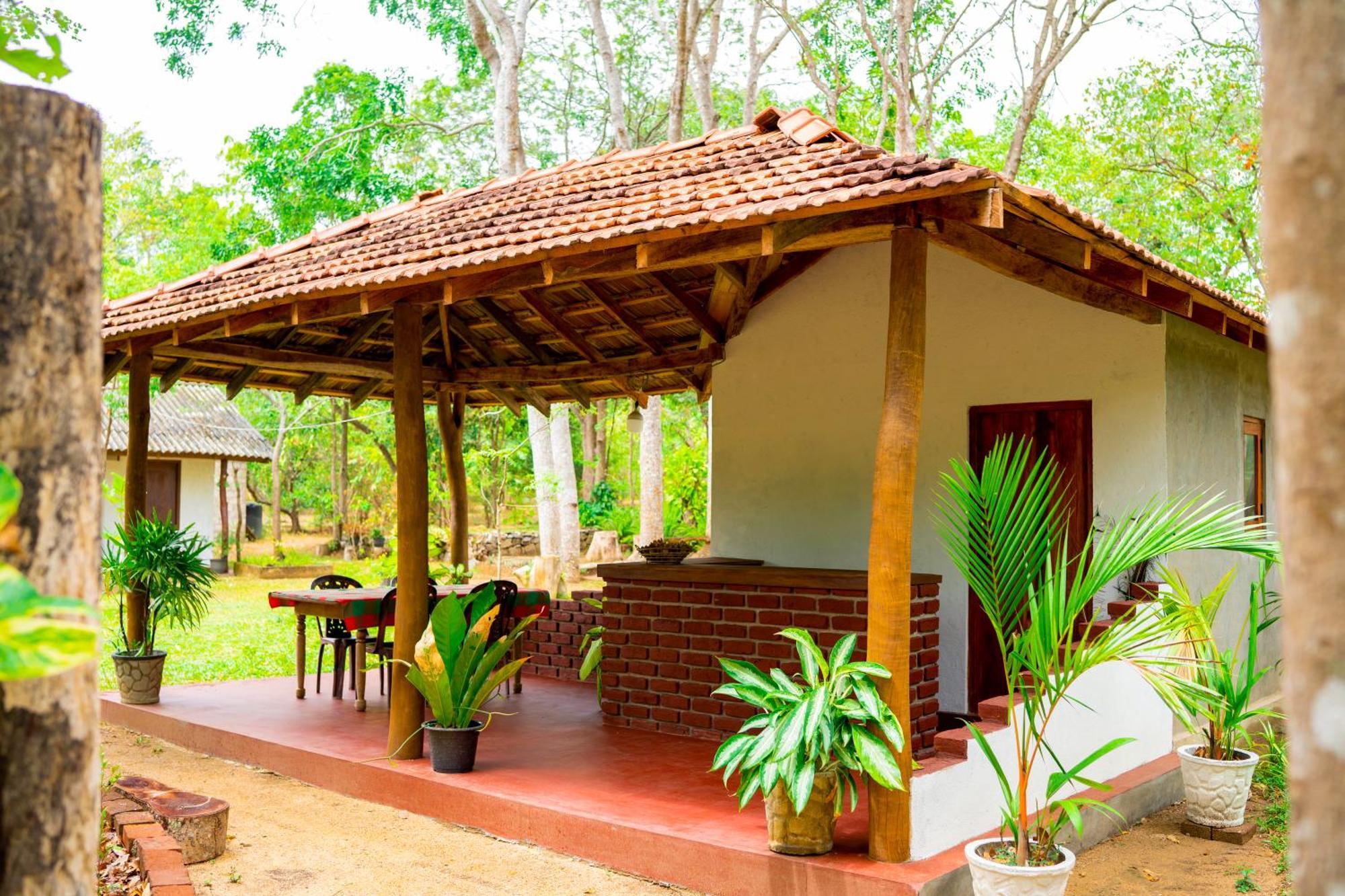 Wild Hut Habarana Bed & Breakfast Ngoại thất bức ảnh