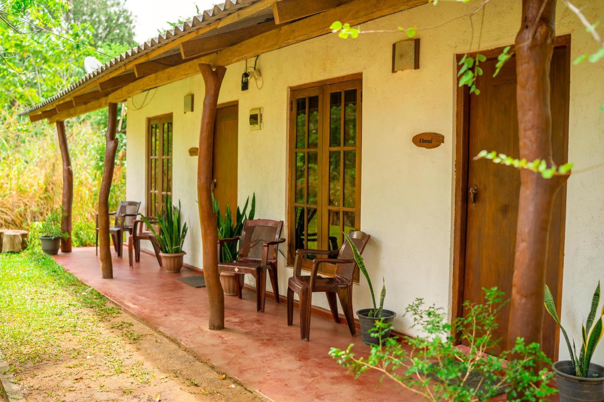 Wild Hut Habarana Bed & Breakfast Ngoại thất bức ảnh
