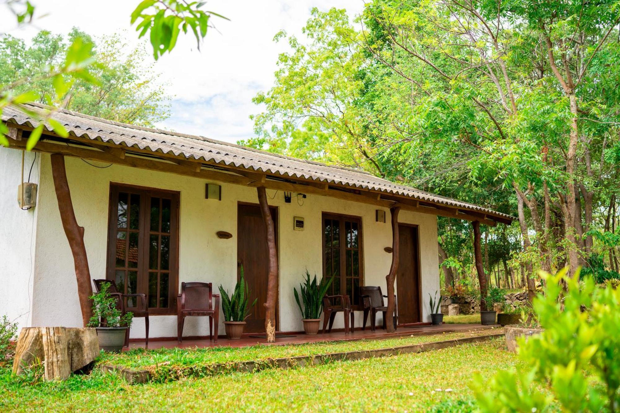 Wild Hut Habarana Bed & Breakfast Ngoại thất bức ảnh