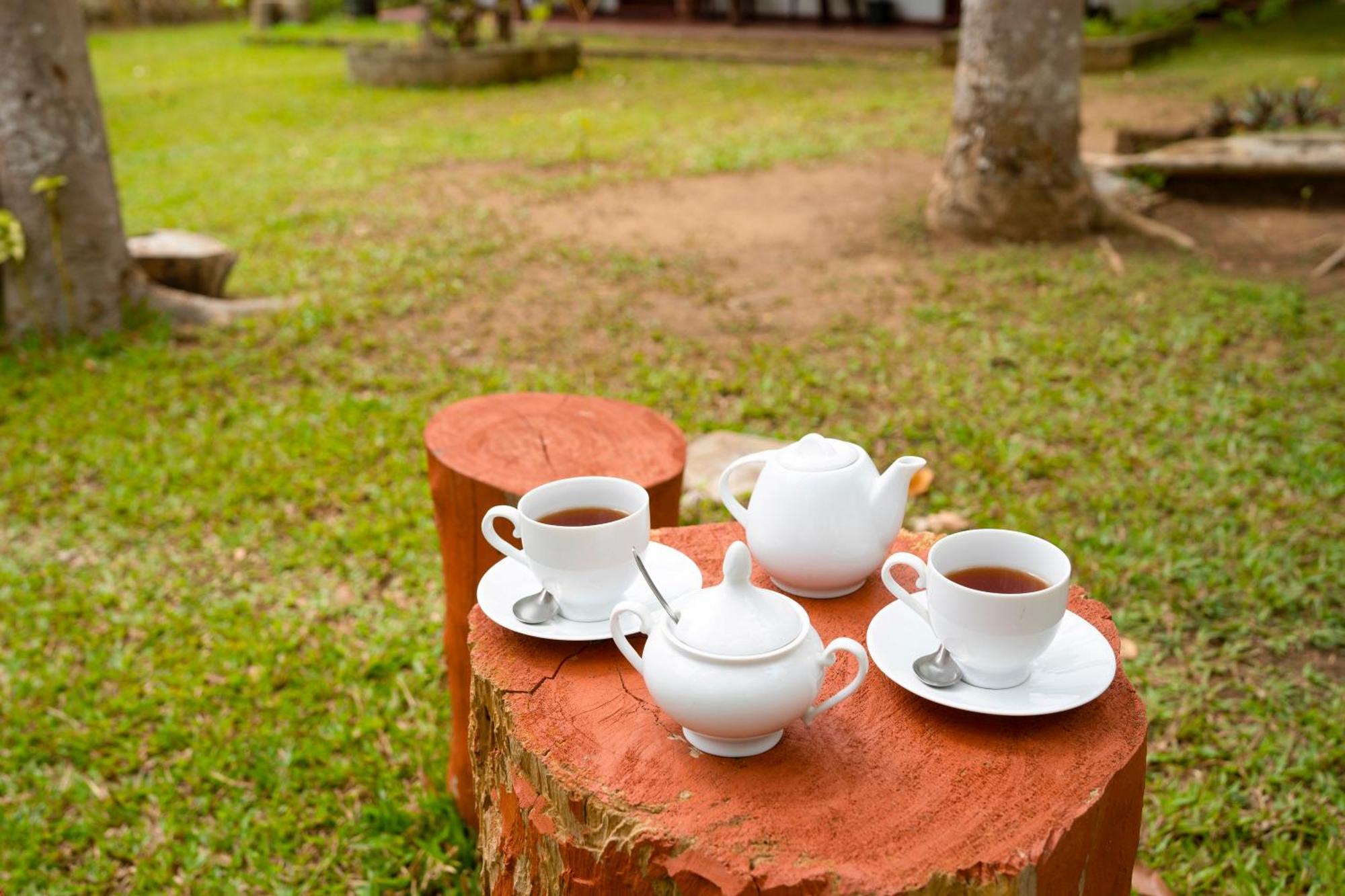 Wild Hut Habarana Bed & Breakfast Ngoại thất bức ảnh